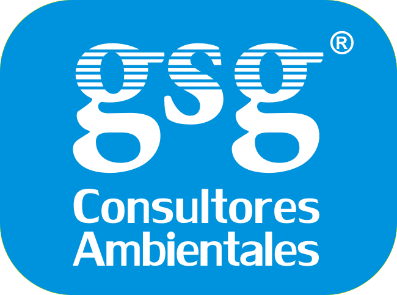 GSG Consultores