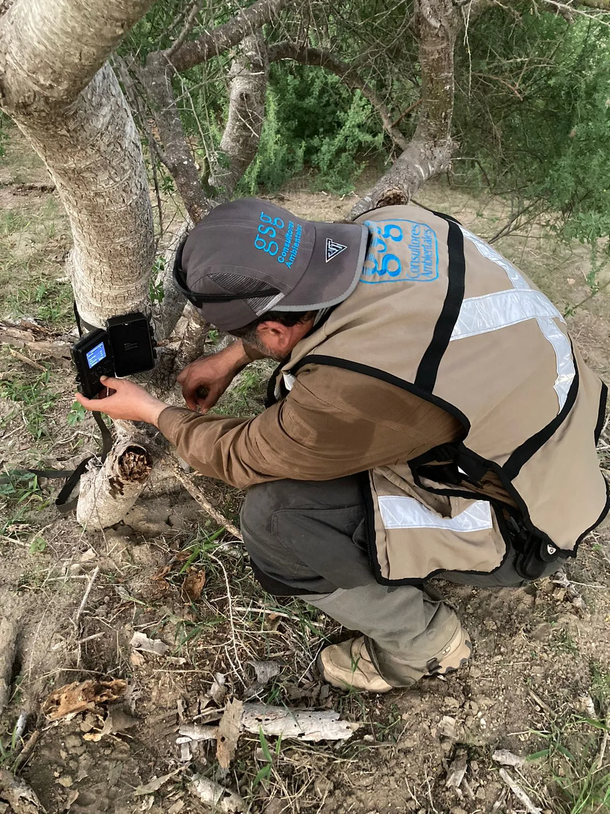Técnico de GSG Consultores Ambientales instalando cámara trampa para monitoreo de fauna
